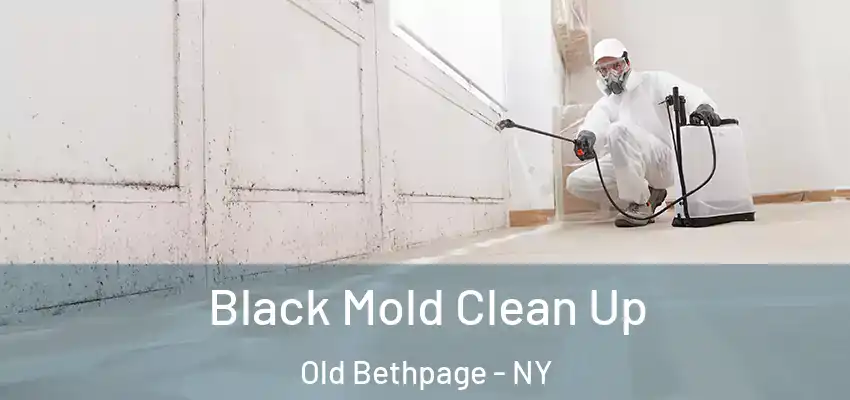  Black Mold Clean Up Old Bethpage - NY