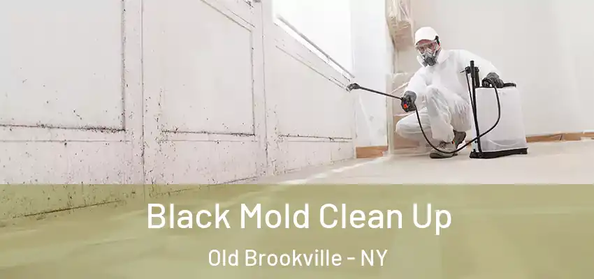  Black Mold Clean Up Old Brookville - NY