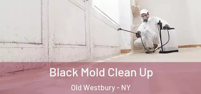  Black Mold Clean Up Old Westbury - NY