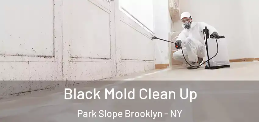  Black Mold Clean Up Park Slope Brooklyn - NY