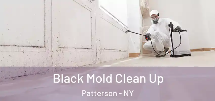 Black Mold Clean Up Patterson - NY
