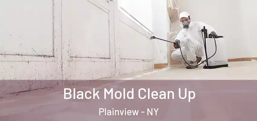 Black Mold Clean Up Plainview - NY