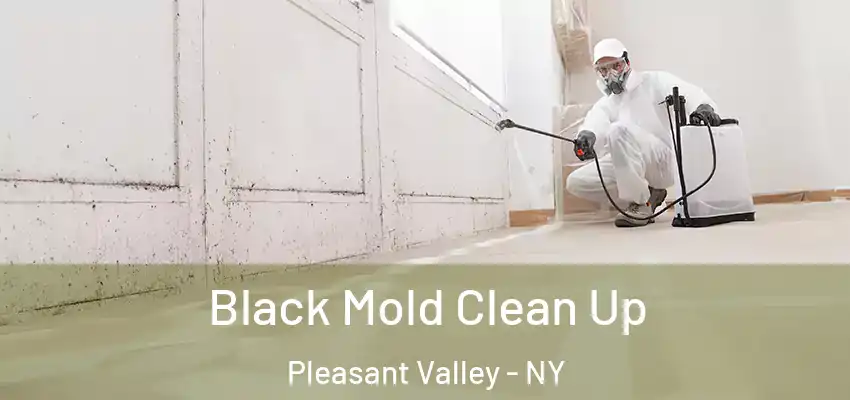  Black Mold Clean Up Pleasant Valley - NY