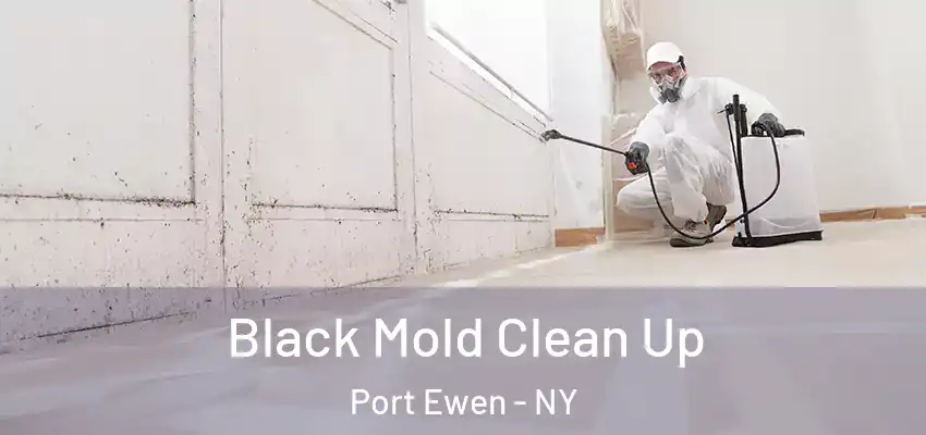 Black Mold Clean Up Port Ewen - NY
