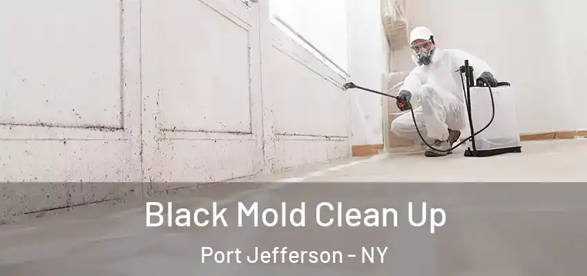  Black Mold Clean Up Port Jefferson - NY