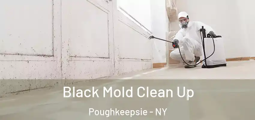 Black Mold Clean Up Poughkeepsie - NY