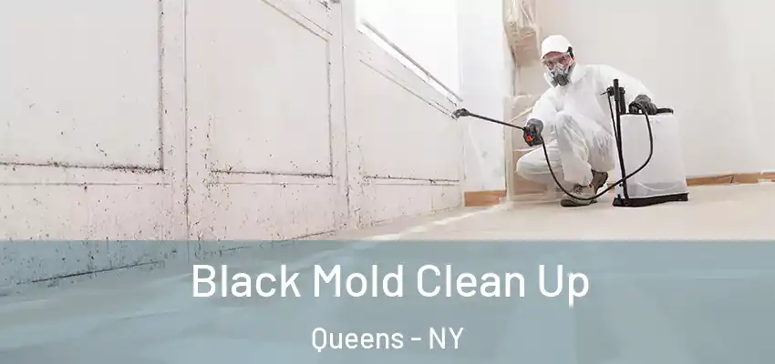 Black Mold Clean Up Queens - NY