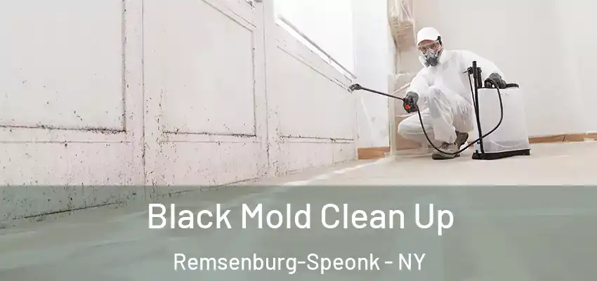  Black Mold Clean Up Remsenburg-Speonk - NY