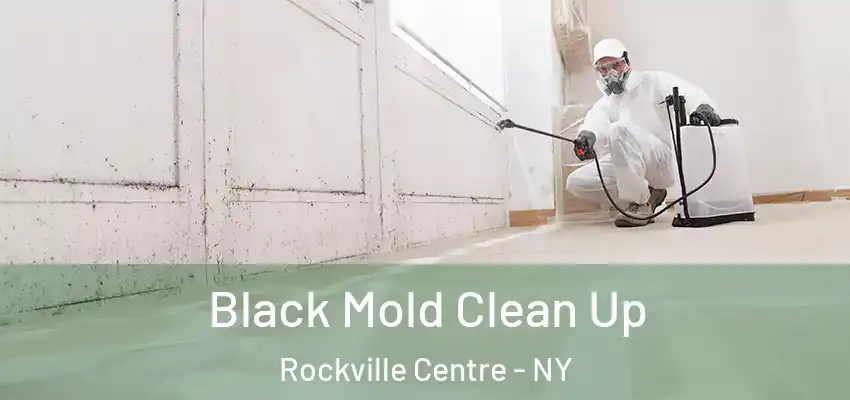  Black Mold Clean Up Rockville Centre - NY
