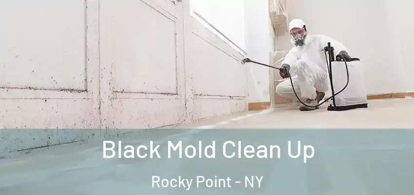  Black Mold Clean Up Rocky Point - NY