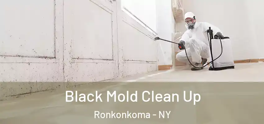  Black Mold Clean Up Ronkonkoma - NY