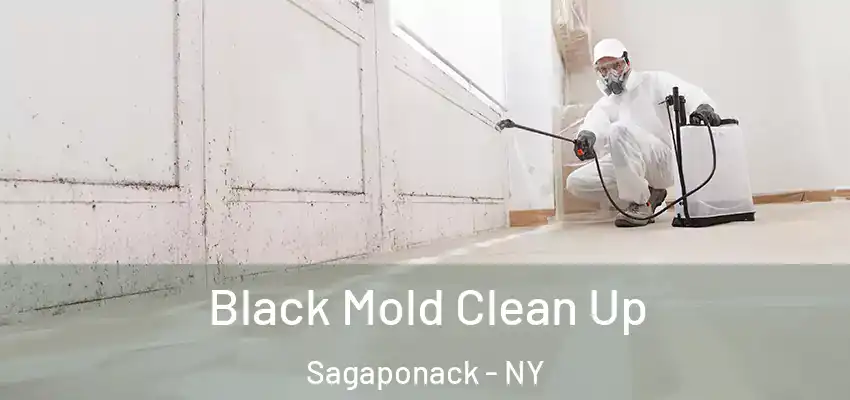  Black Mold Clean Up Sagaponack - NY