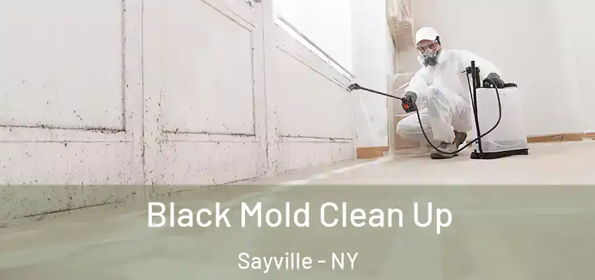  Black Mold Clean Up Sayville - NY