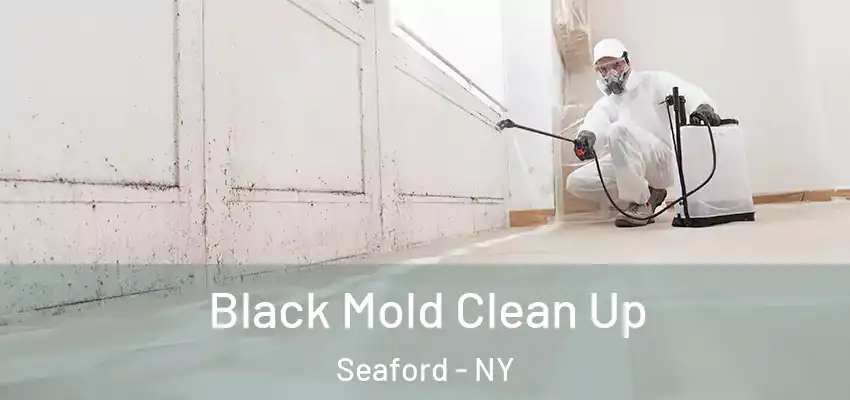  Black Mold Clean Up Seaford - NY