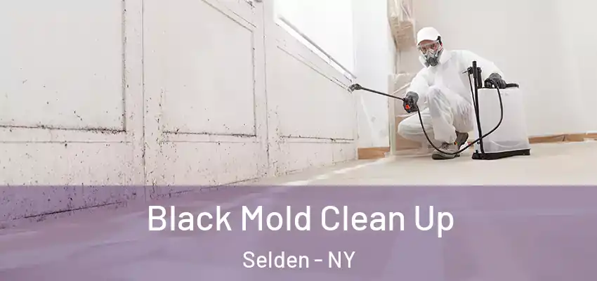  Black Mold Clean Up Selden - NY
