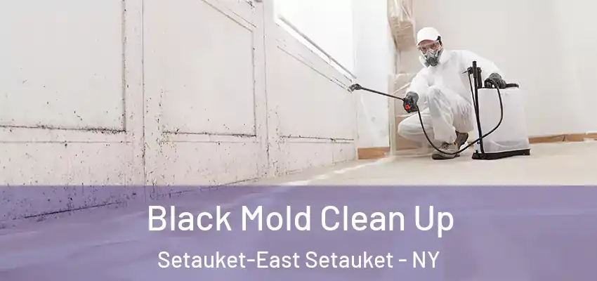  Black Mold Clean Up Setauket-East Setauket - NY