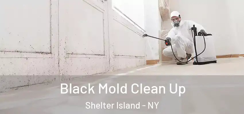 Black Mold Clean Up Shelter Island - NY