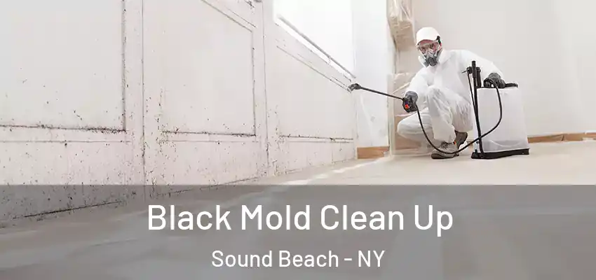  Black Mold Clean Up Sound Beach - NY