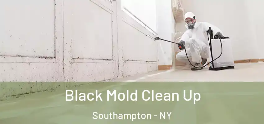  Black Mold Clean Up Southampton - NY