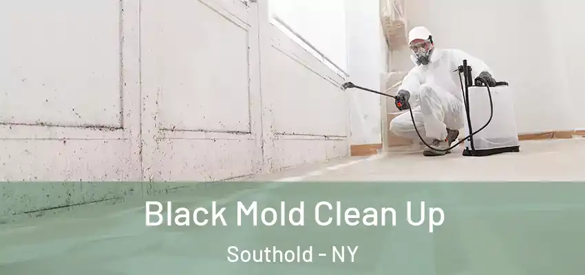  Black Mold Clean Up Southold - NY