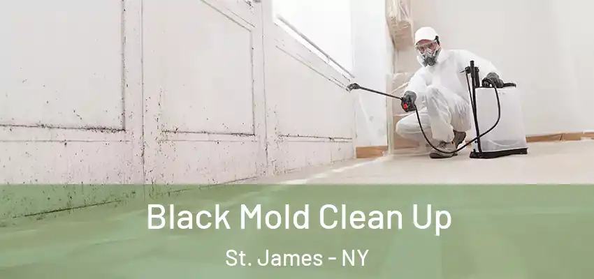  Black Mold Clean Up St. James - NY