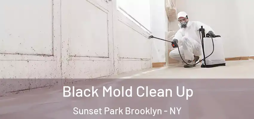  Black Mold Clean Up Sunset Park Brooklyn - NY