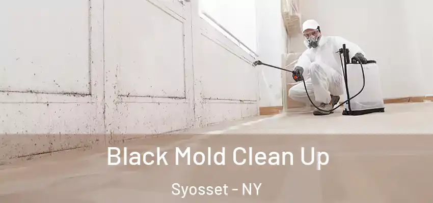  Black Mold Clean Up Syosset - NY
