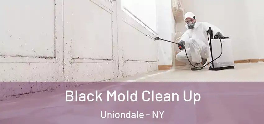  Black Mold Clean Up Uniondale - NY