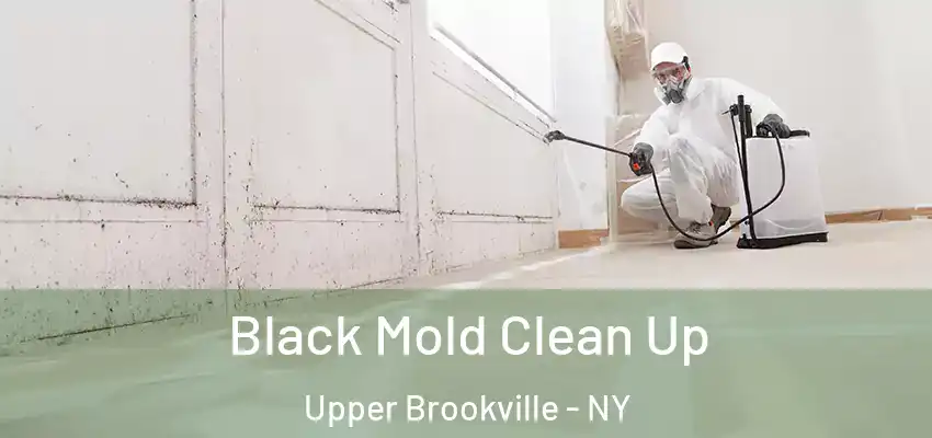  Black Mold Clean Up Upper Brookville - NY