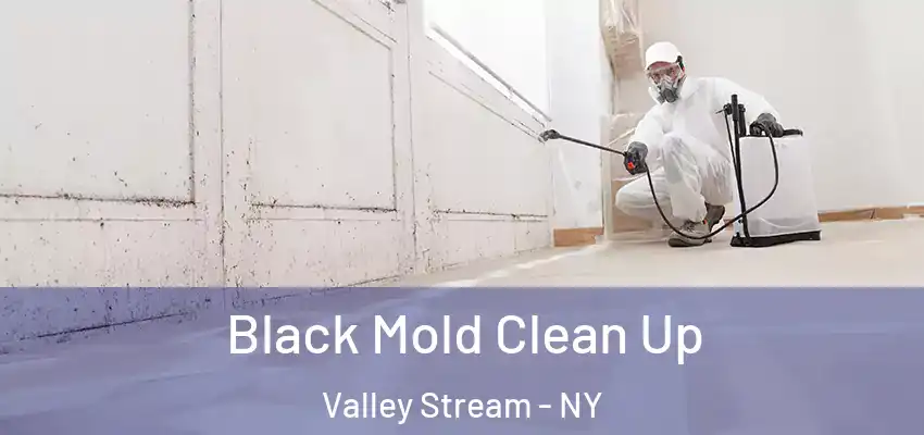 Black Mold Clean Up Valley Stream - NY