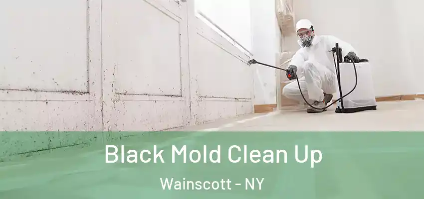  Black Mold Clean Up Wainscott - NY