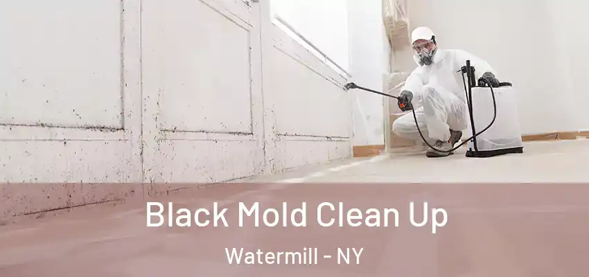  Black Mold Clean Up Watermill - NY