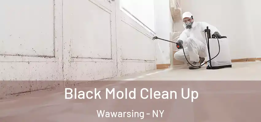 Black Mold Clean Up Wawarsing - NY