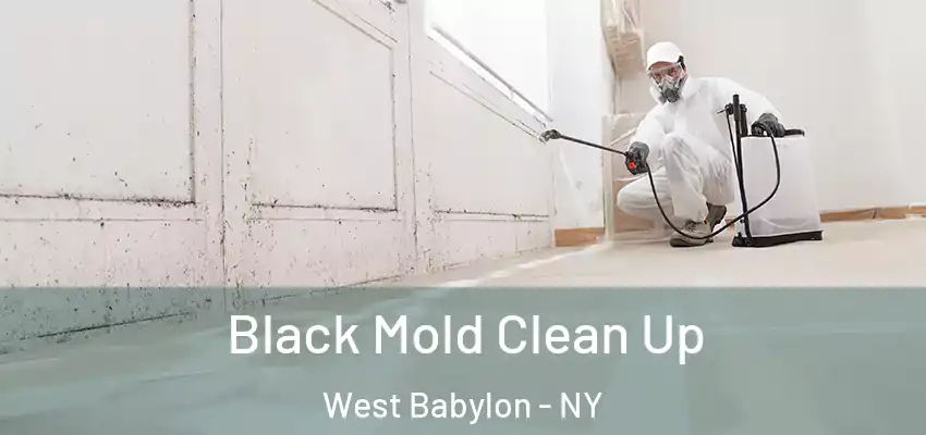  Black Mold Clean Up West Babylon - NY