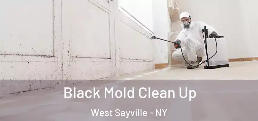  Black Mold Clean Up West Sayville - NY