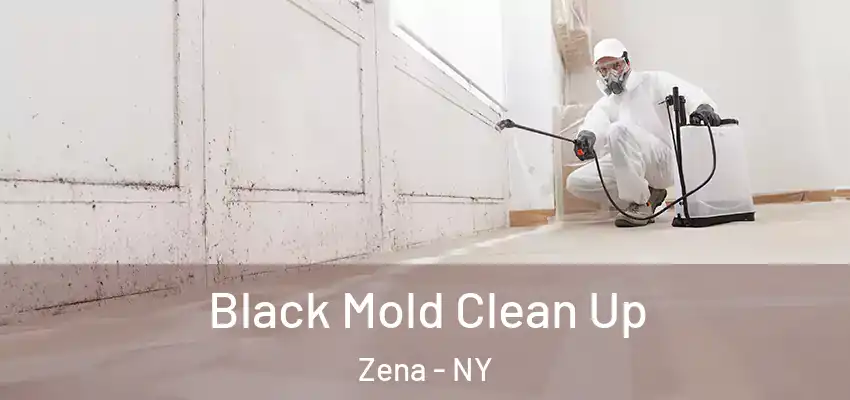 Black Mold Clean Up Zena - NY