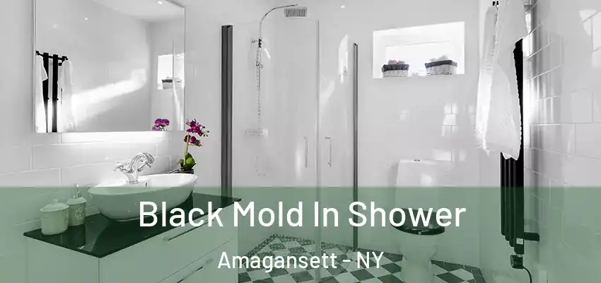  Black Mold In Shower Amagansett - NY