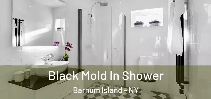  Black Mold In Shower Barnum Island - NY