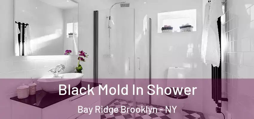  Black Mold In Shower Bay Ridge Brooklyn - NY