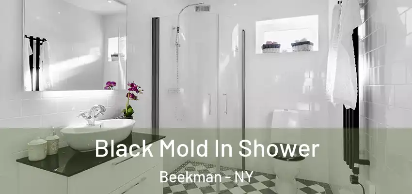 Black Mold In Shower Beekman - NY
