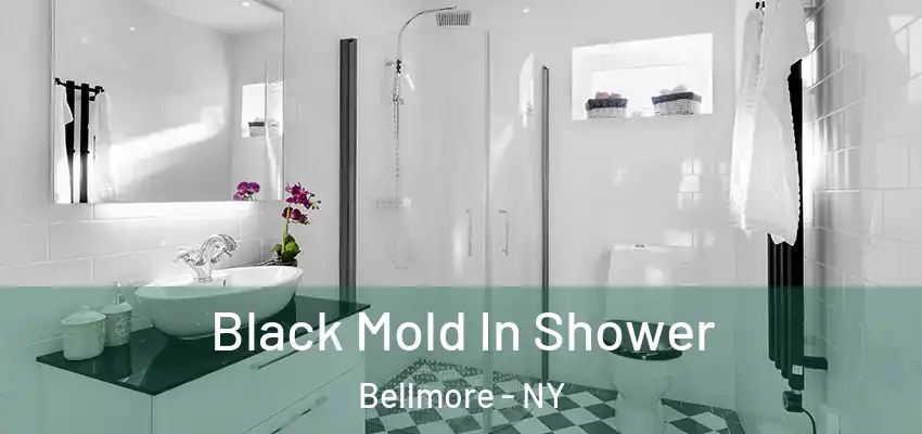  Black Mold In Shower Bellmore - NY