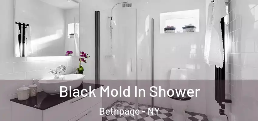  Black Mold In Shower Bethpage - NY
