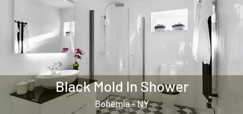  Black Mold In Shower Bohemia - NY