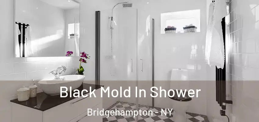  Black Mold In Shower Bridgehampton - NY