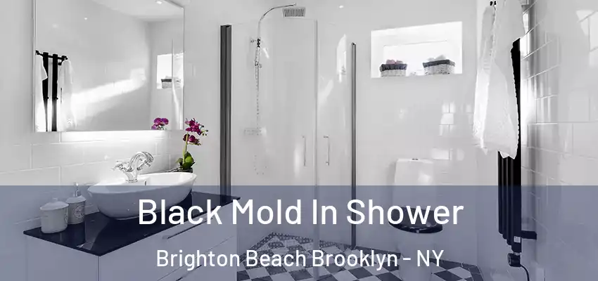  Black Mold In Shower Brighton Beach Brooklyn - NY