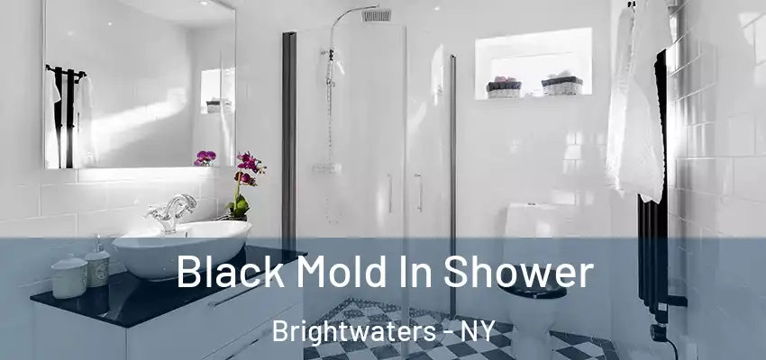  Black Mold In Shower Brightwaters - NY