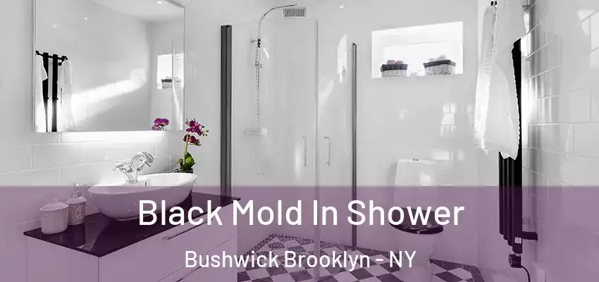 Black Mold In Shower Bushwick Brooklyn - NY
