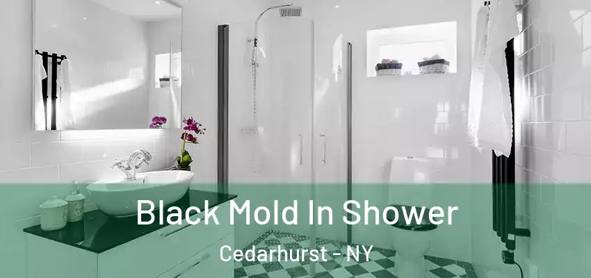  Black Mold In Shower Cedarhurst - NY