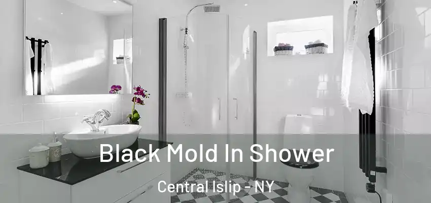  Black Mold In Shower Central Islip - NY