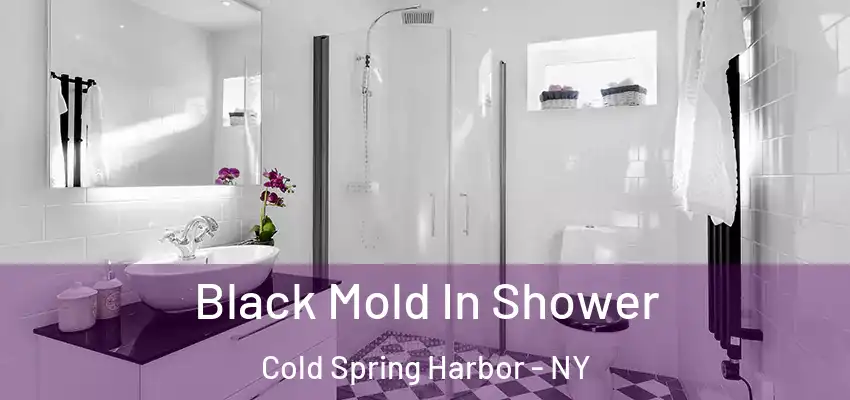  Black Mold In Shower Cold Spring Harbor - NY